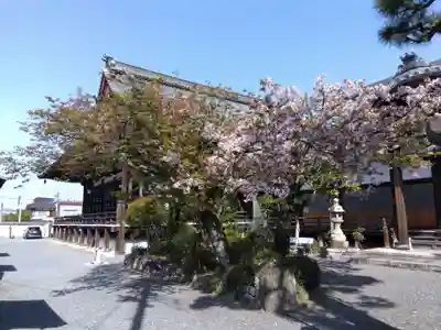 本光院(京都府)