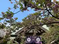 東京大神宮の本殿・本堂