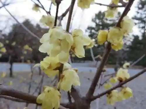白雲神社(京都府)