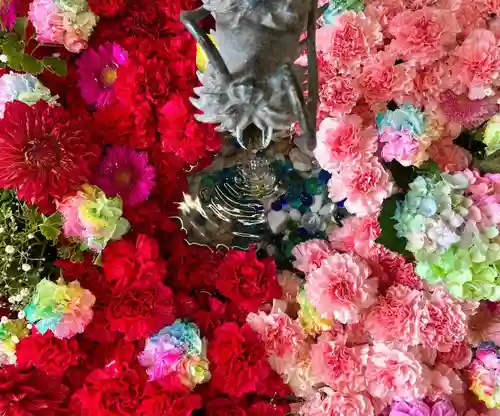 札幌諏訪神社の手水舎