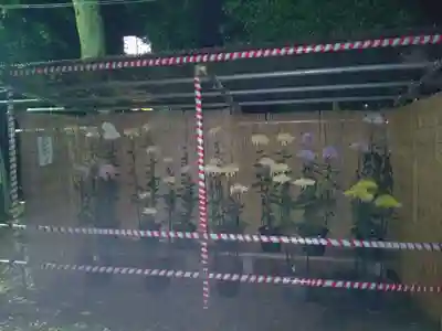 森野住吉神社(東京都)