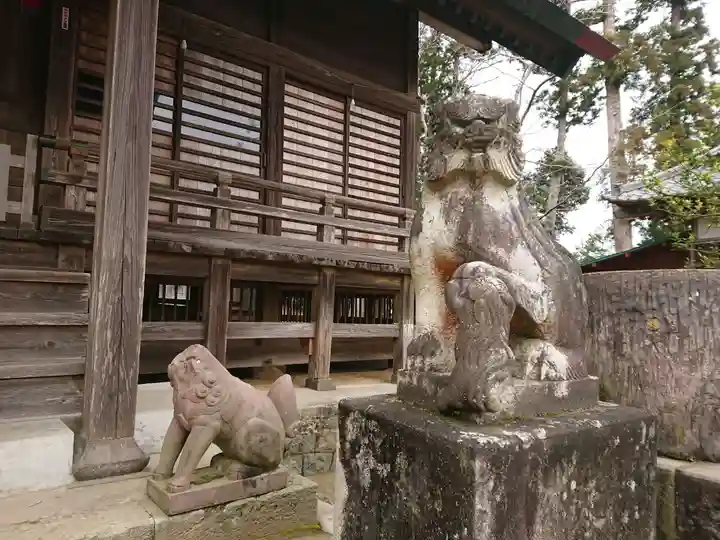 橘樹神社の狛犬