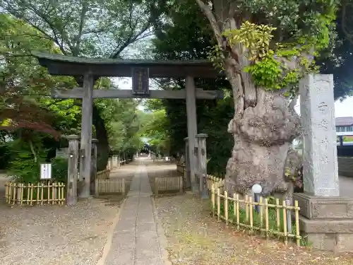 畑子安神社(千葉県)
