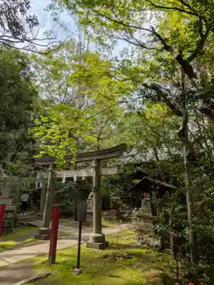 赤坂氷川神社(東京都)