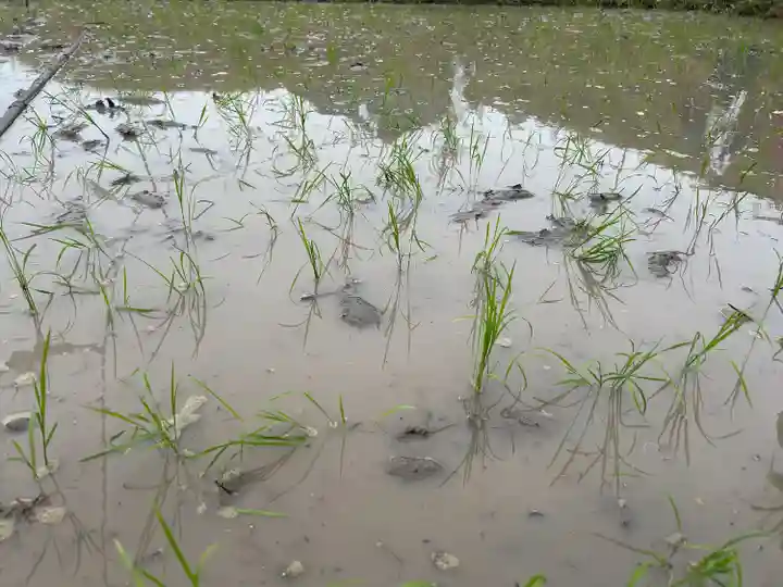 山家神社(長野県)