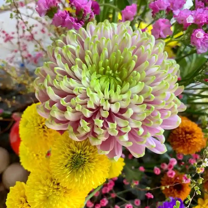 滑川神社 - 仕事と子どもの守り神の手水舎