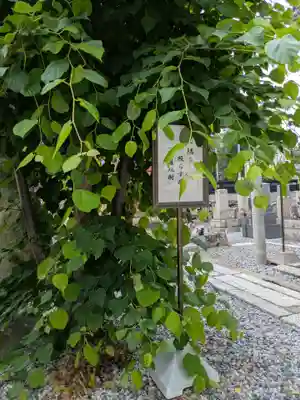 平等寺(滋賀県)