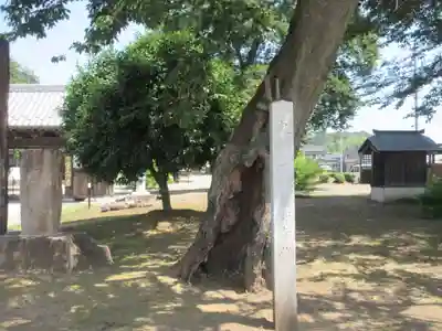 下野薬師寺 (旧 安國寺)(栃木県)