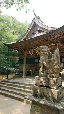天石門別八倉比売神社の狛犬