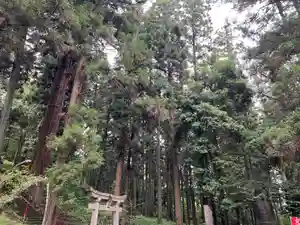 大宮温泉神社(栃木県)(2023年06月16日(金) 07時23分46秒投稿)