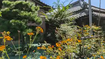 安養寺(京都府)