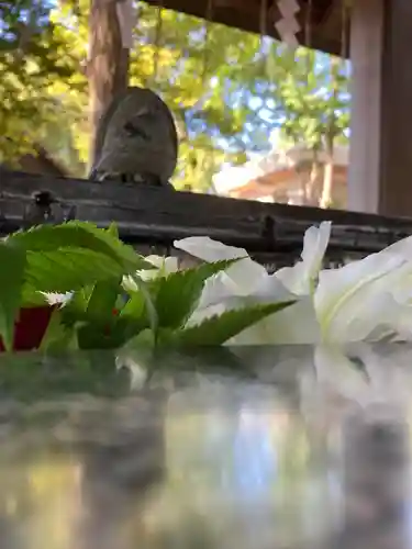 新琴似神社の手水舎