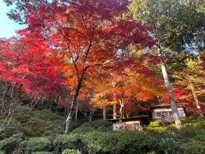 大興善寺(佐賀県)