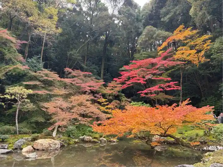 南禅院(京都府)