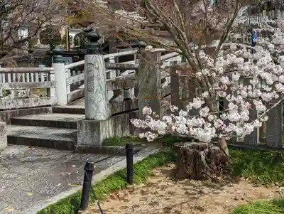 くろ谷 金戒光明寺(京都府)