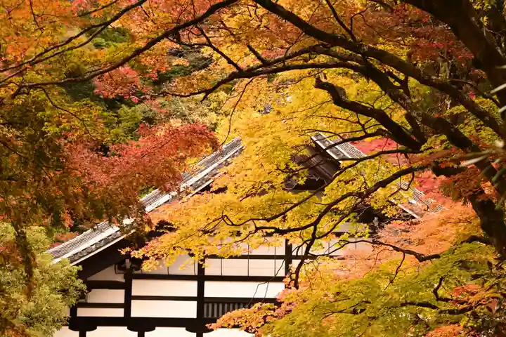 南禅寺(京都府)