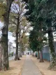 尉殿神社の建物その他