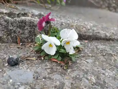 西宮神社の自然