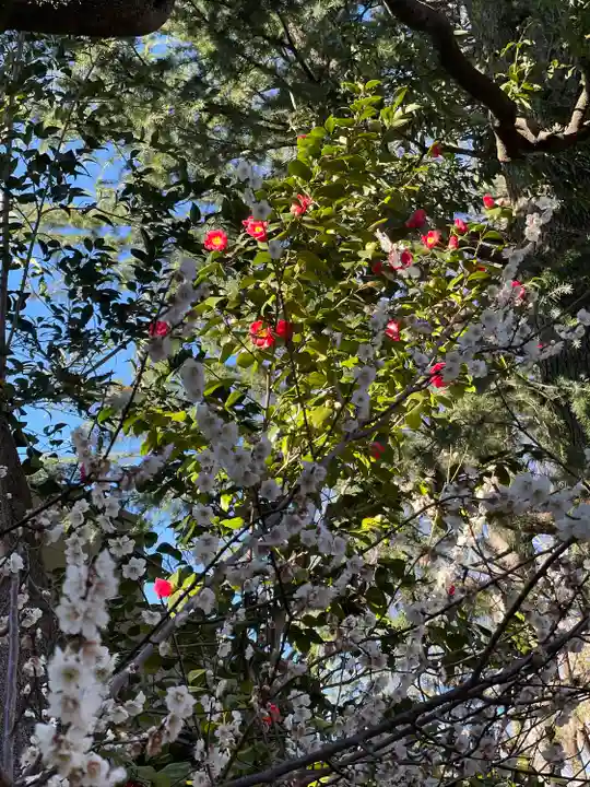 馬橋稲荷神社(東京都)