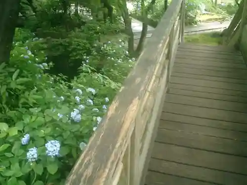 明月院の庭園