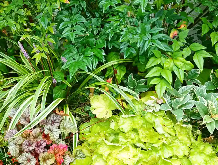 寿量山 速成寺の自然