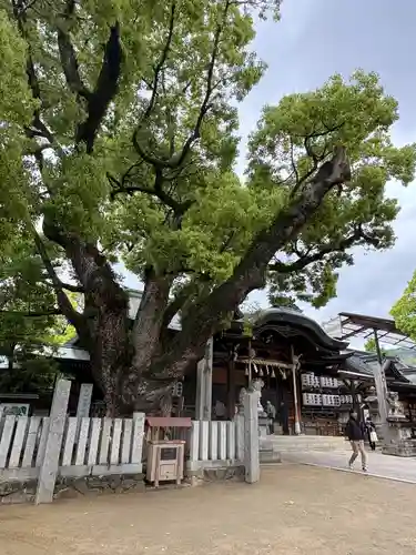 石切劔箭神社(大阪府)