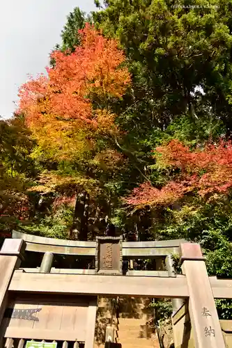 大山阿夫利神社本社の鳥居