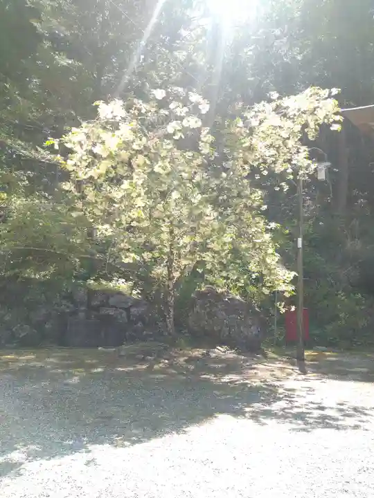 上一宮大粟神社の自然