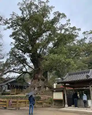 蒲生八幡神社(鹿児島県)