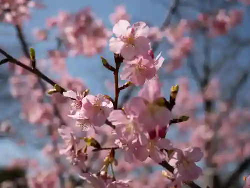 喜多院(埼玉県)
