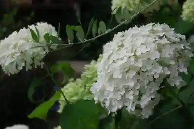 興徳寺(大阪府)