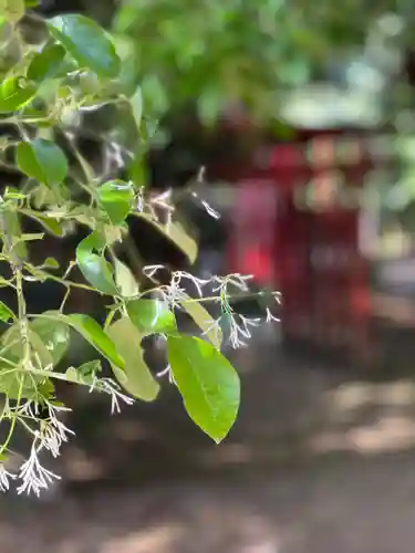 手力雄神社(岐阜県)