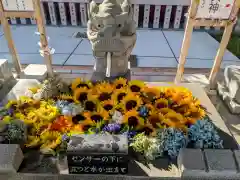 新川皇大神社(北海道)