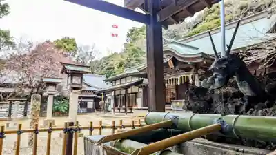 畑子安神社の手水舎