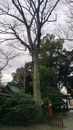 武蔵野八幡宮(東京都)