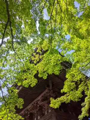 法観寺(京都府)