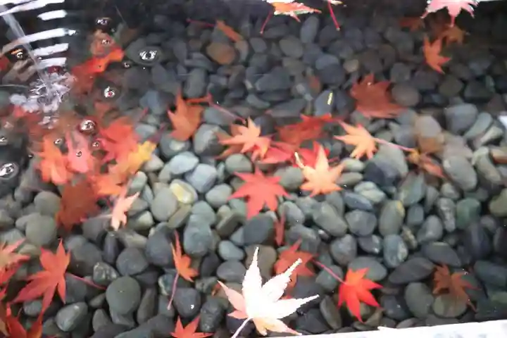 萬寿神社(柏屋本店願掛け萬寿石)(福島県)