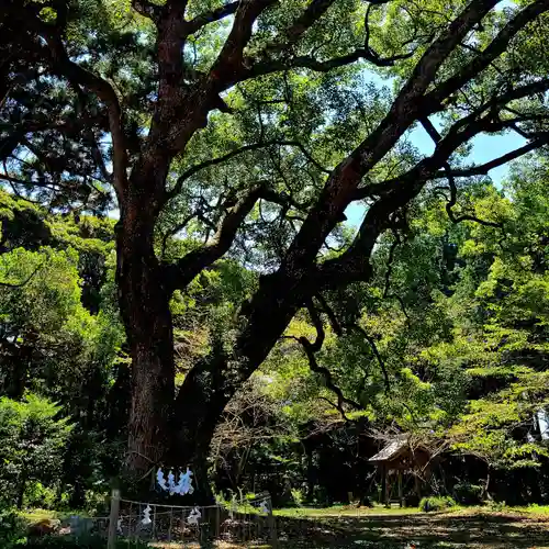 曽許乃御立神社(静岡県)