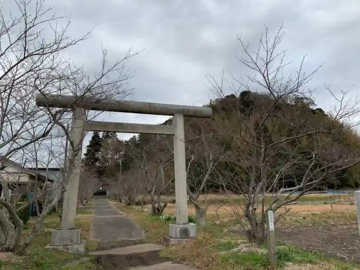 男金神社の鳥居
