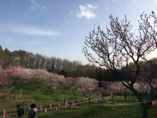 清田稲荷神社の庭園