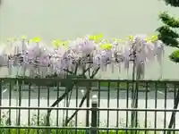 了徳院(大阪府)