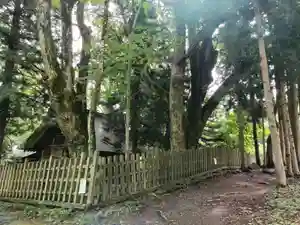 諏訪大社上社前宮の本殿・本堂