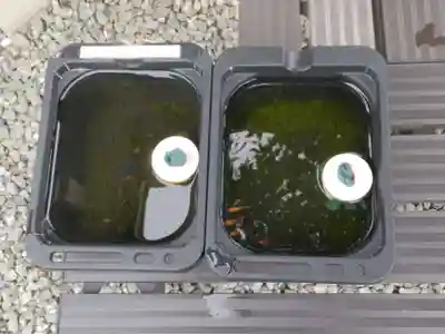 金樹寺(京都府)