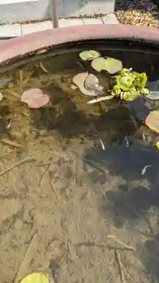 長松寺(埼玉県)