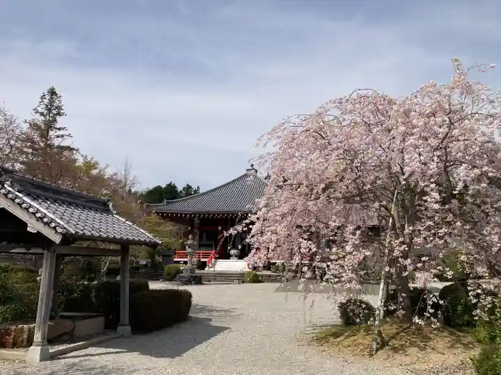 櫟野寺(滋賀県)