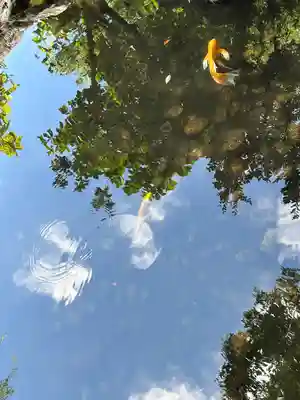 秩父今宮神社(埼玉県)