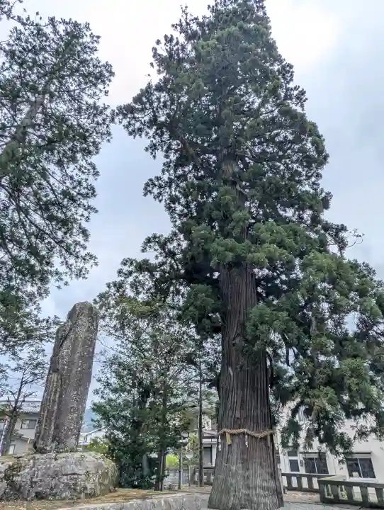 飛驒一宮水無神社(岐阜県)