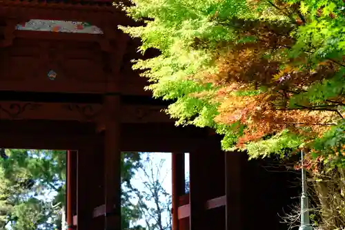 壇上伽藍(和歌山県)