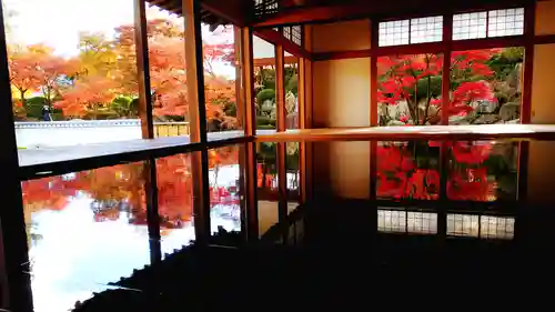 宝徳寺の景色