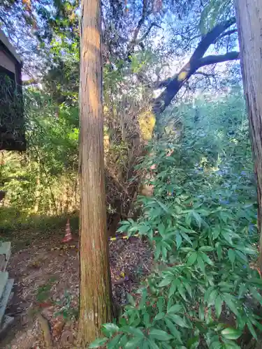 晴明稲荷大明神の自然